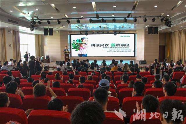 热点！农村创业致富网