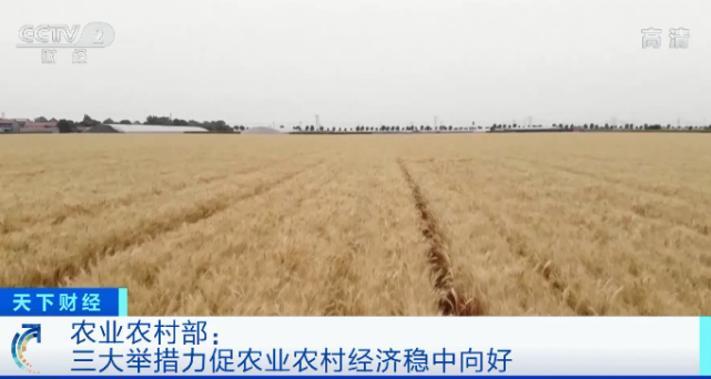 农民工返乡创业贷款