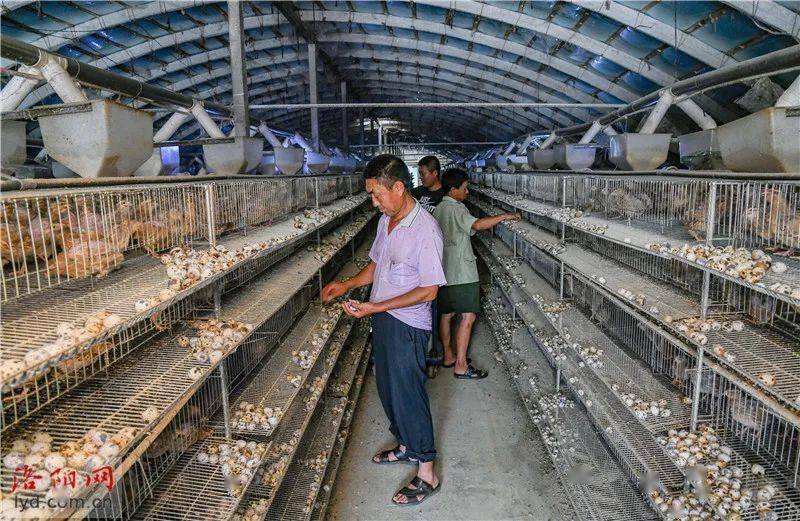 相关！养殖创业网