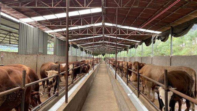 相关！养殖创业网