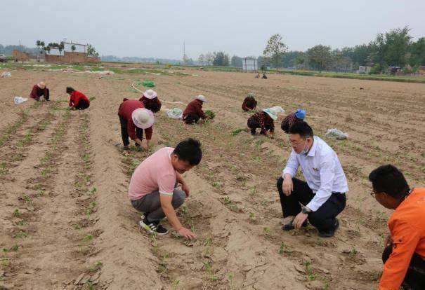 小知识！农村创业好项目