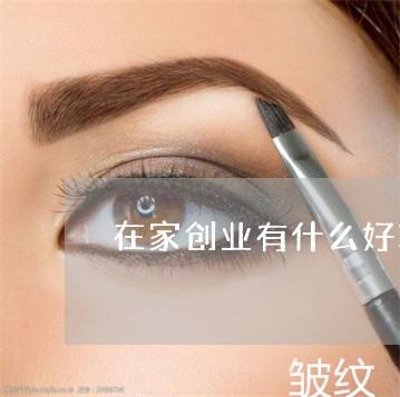 小知识！在家创业做什么好
