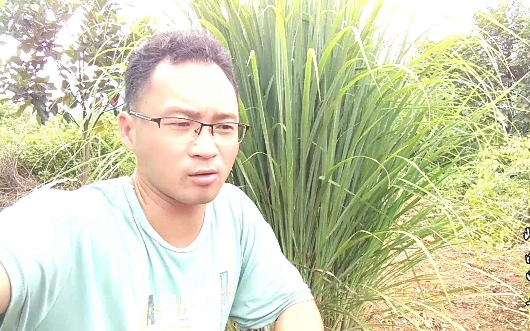 最新农村创业项目