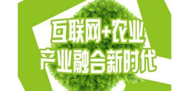 热点！如何创业致富