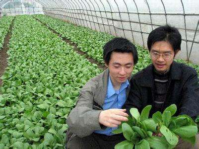 小知识！1000元创业项目