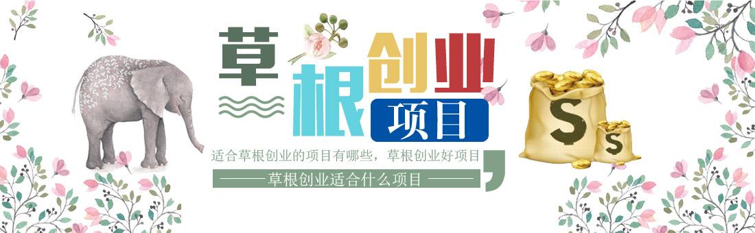 小知识！适合创业的项目