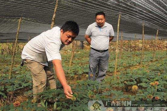 热点！农村养殖创业致富网