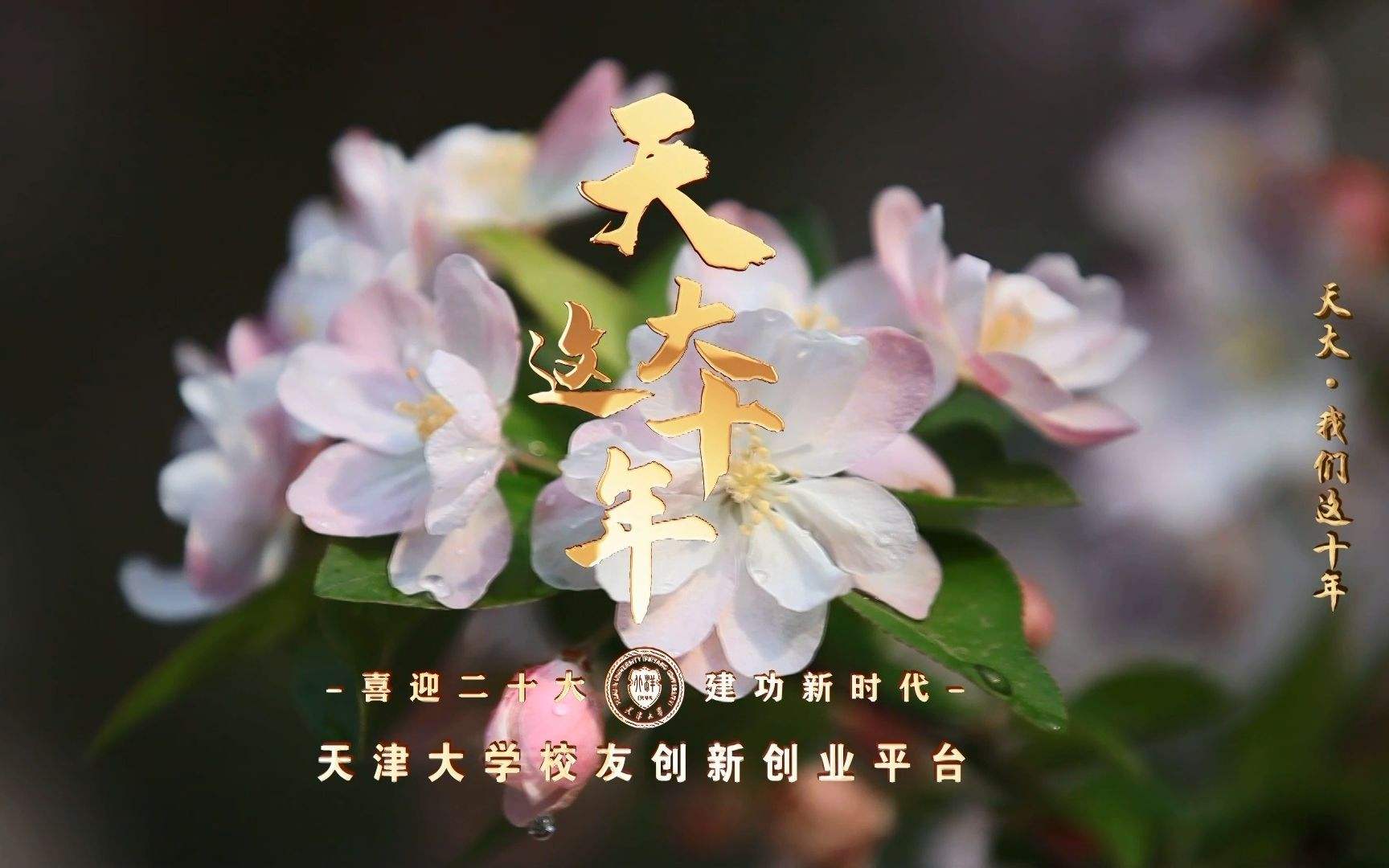 天津创业环保集团