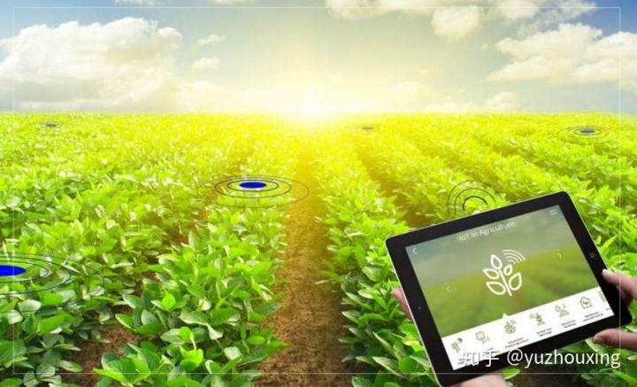 求答案！农村创业项目推荐