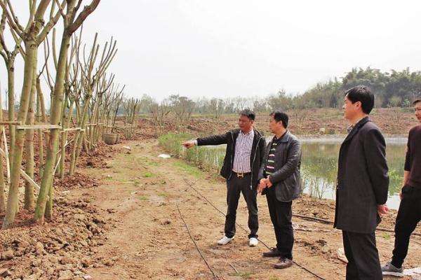 常见问题！农民创业项目