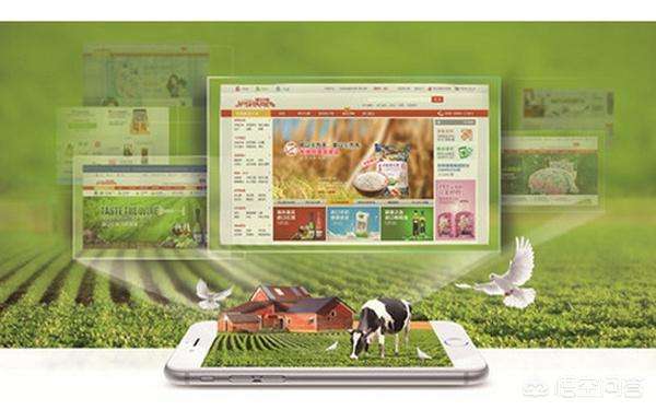 解说！创业商机网