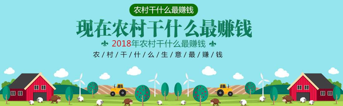 热点！适合农村的创业项目