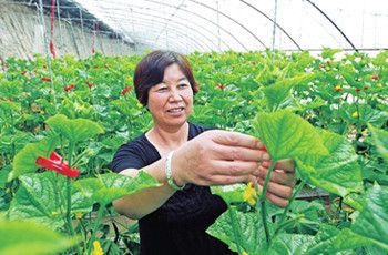 热点！适合农村的创业项目