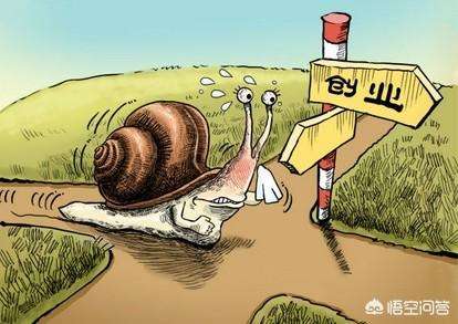 解答！90后创业