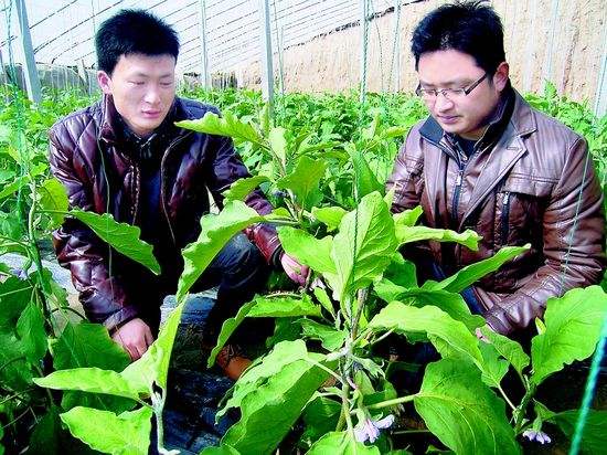 相关！致富创业