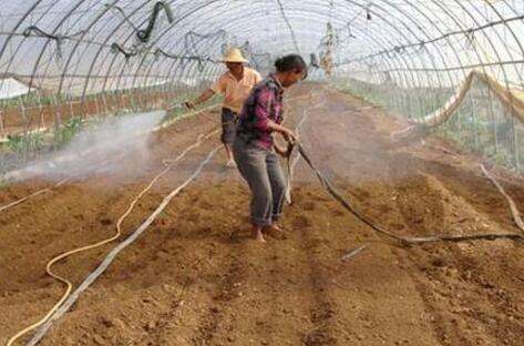 小知识！农村创业网