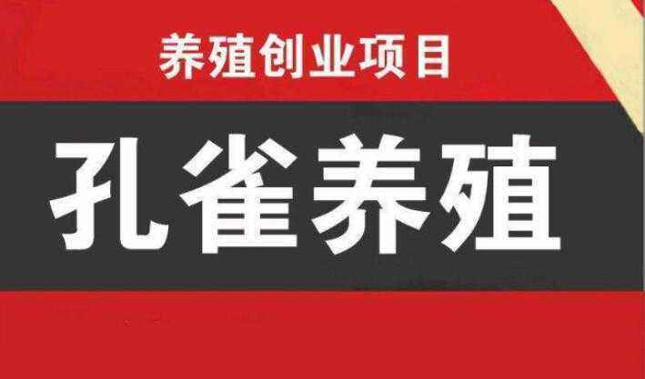 求答案！致富小本创业网