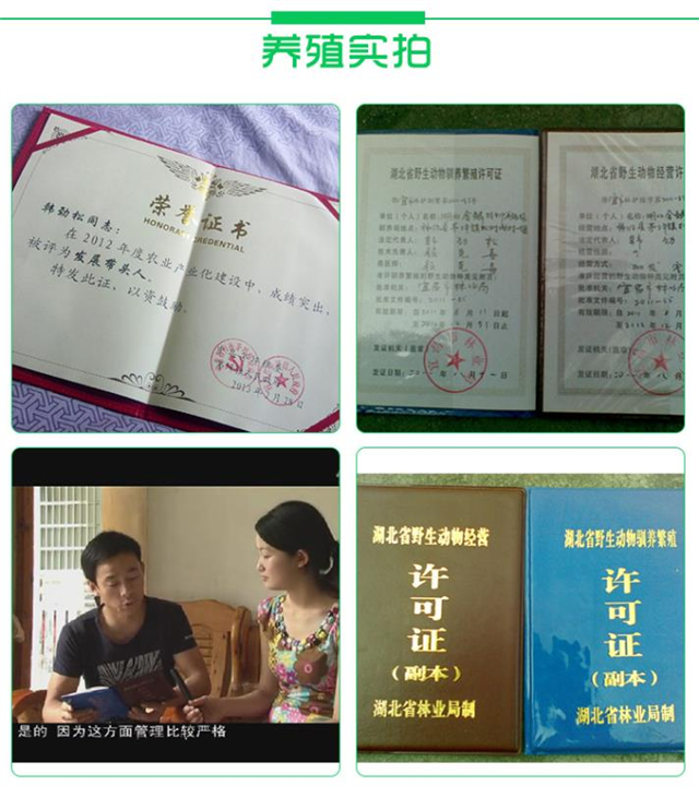 相关！养殖创业网