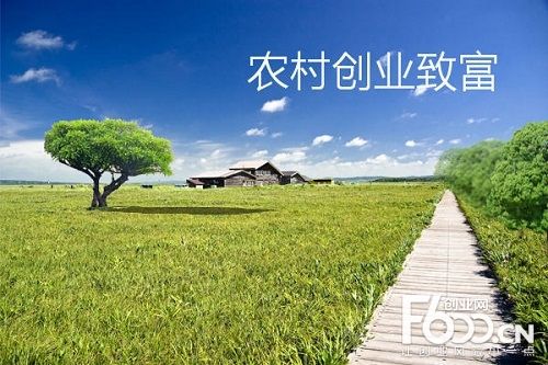 解释!县城创业项目 解释!县城创业项目