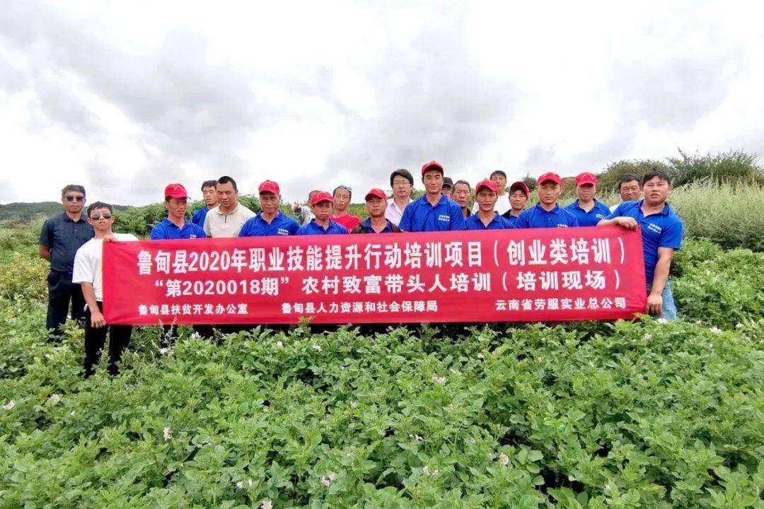 小知识！农村创业网