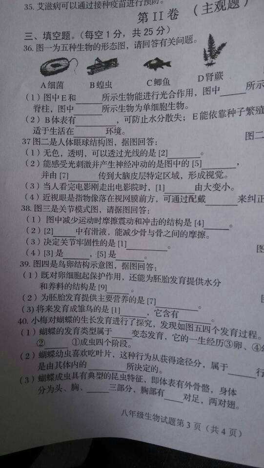 求答案！50万创业项目