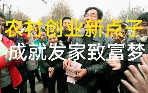 小知识！农村创业点子