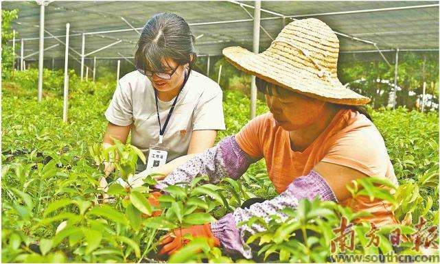 常见问题！创业致富网