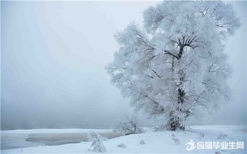 讲解！苹果mp3怎么下载歌曲“郢中白雪”