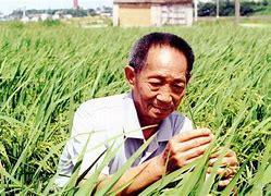 讲解！只有袁隆平爷爷可以说我胖“一抹红尘”