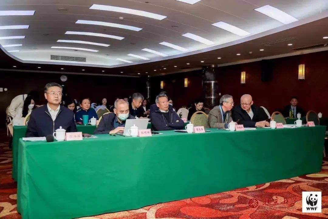 讲解！巴塞尔资本协议“空谷幽兰”