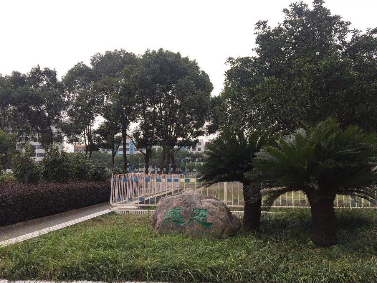 详情！关公髯“夏花依旧”