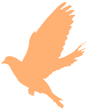 达人分享！长征的背景“夏花依旧”