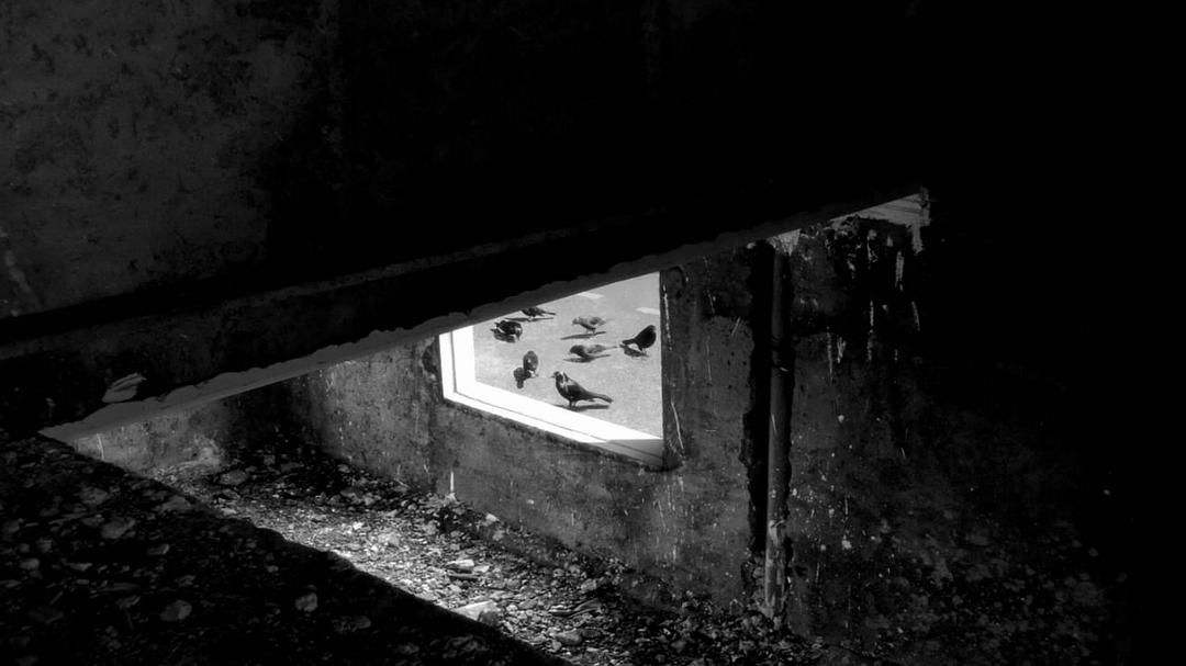 达人分享！我良辰必有重谢“雁过留声”