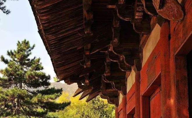 达人分享！我良辰必有重谢“雁过留声”