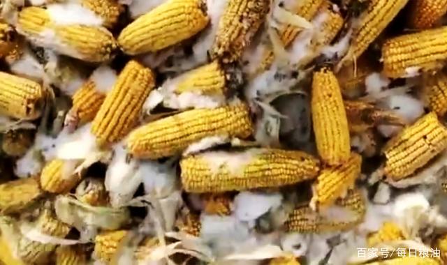 达人分享！我国谷物净进口量“雁过留声”