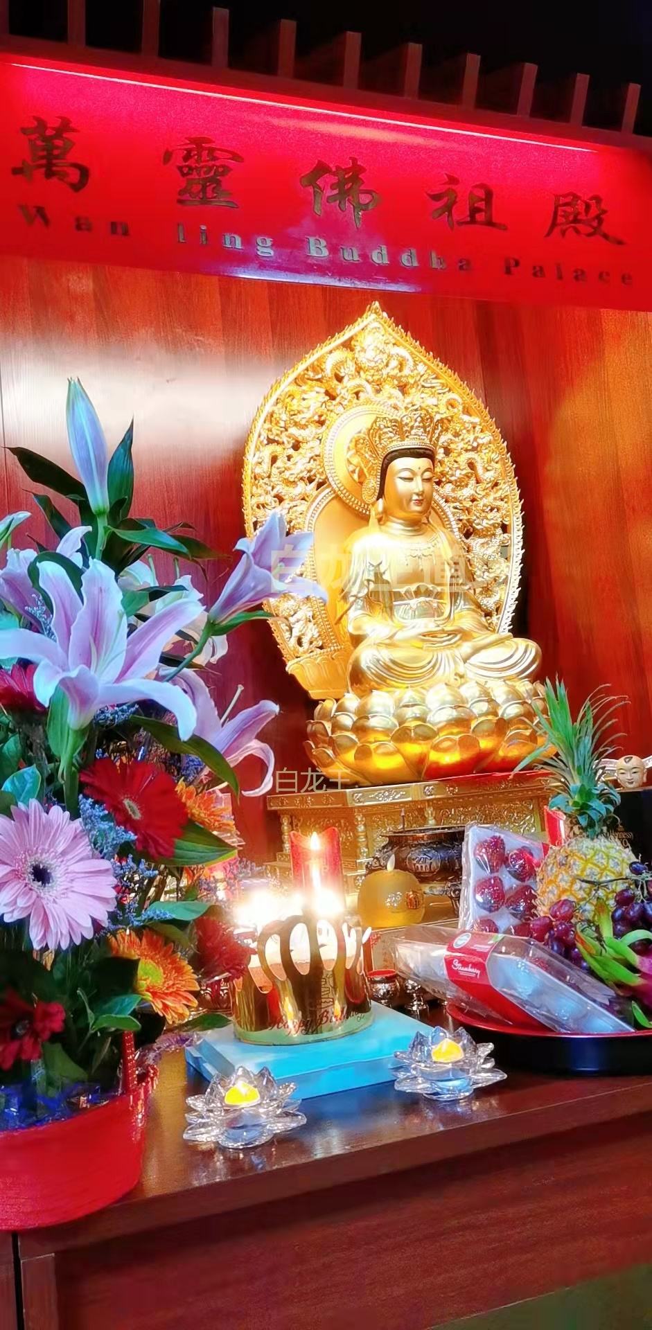 讲解！农历九月十九“夏花依旧”