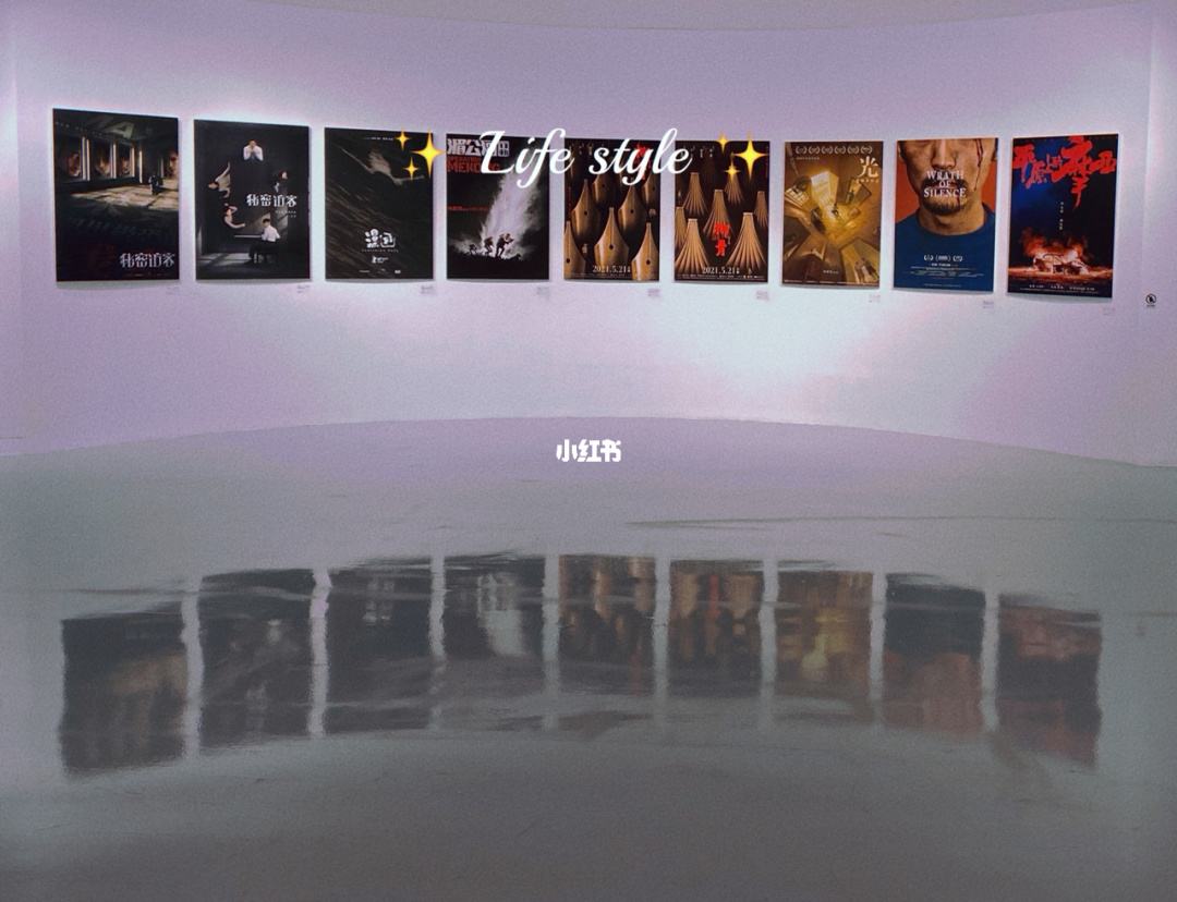 分析！撒有拉拉是什么意思“雁过留声”