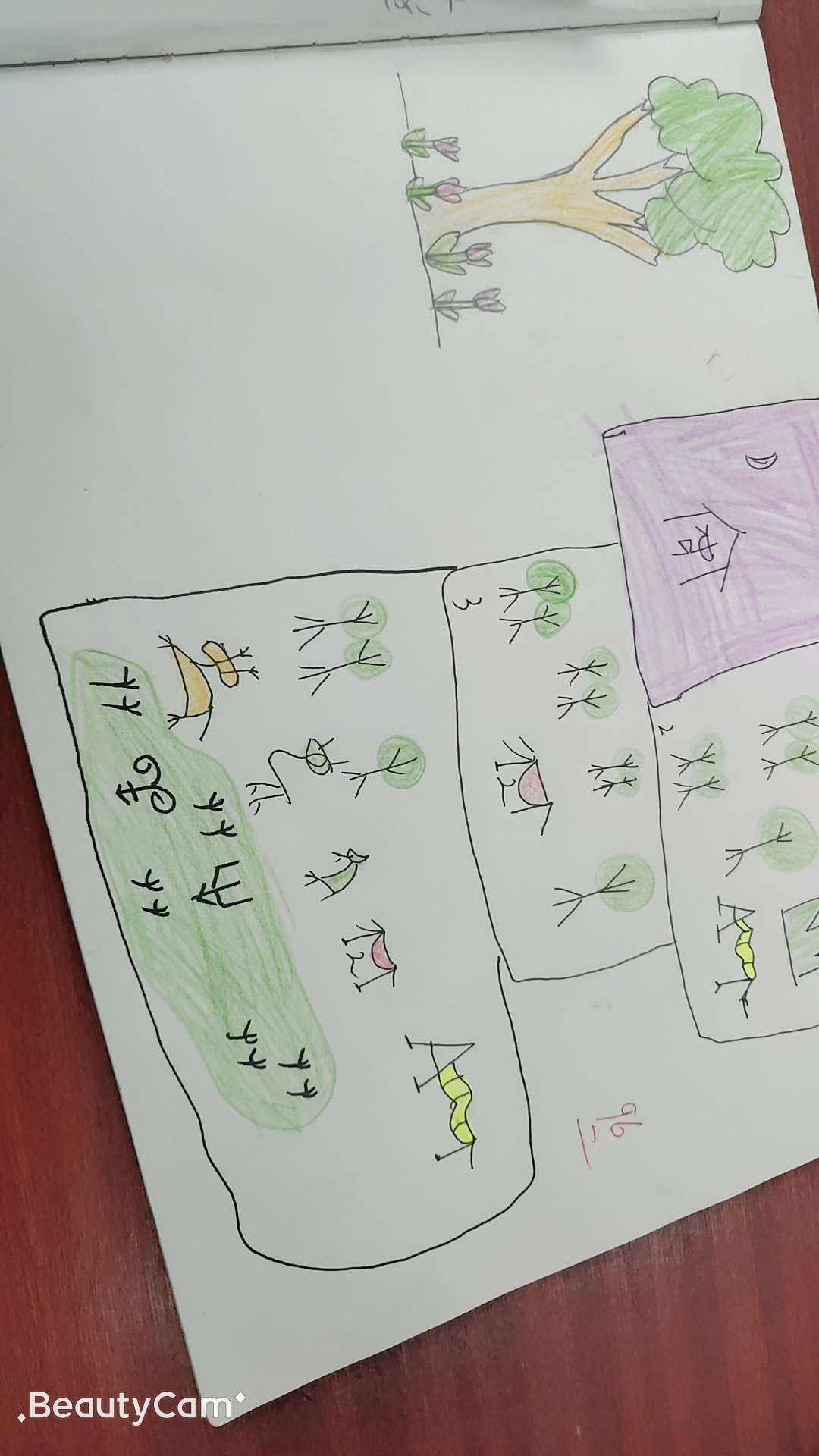 达人分享！甲骨文写在什么上面