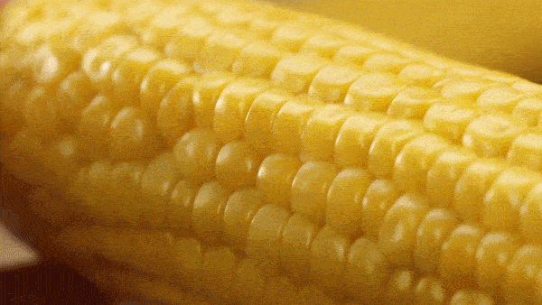 达人分享！快播库“星星点点”