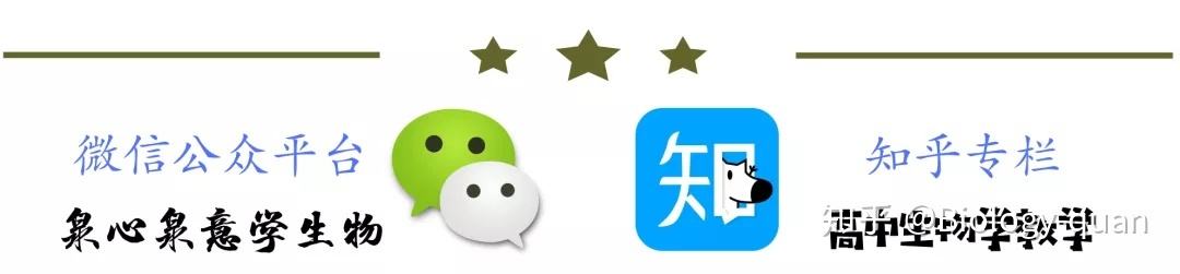 分析！法克是什么意思“纯一不杂”