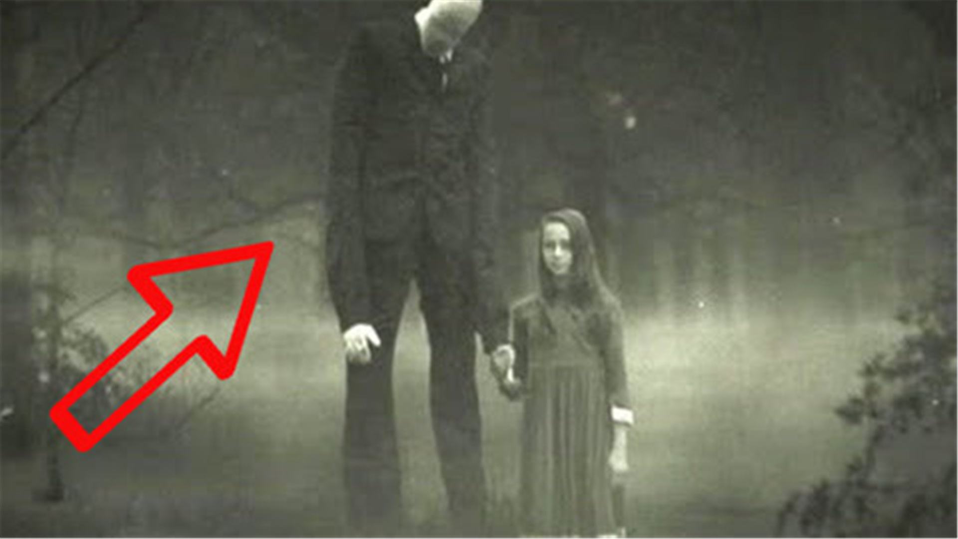 达人分享！兔子暴力原型真实事件“雁过留声”