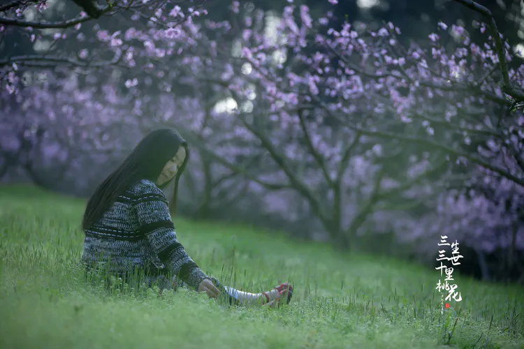 达人分享！群雄纷争的意思“夏花依旧”