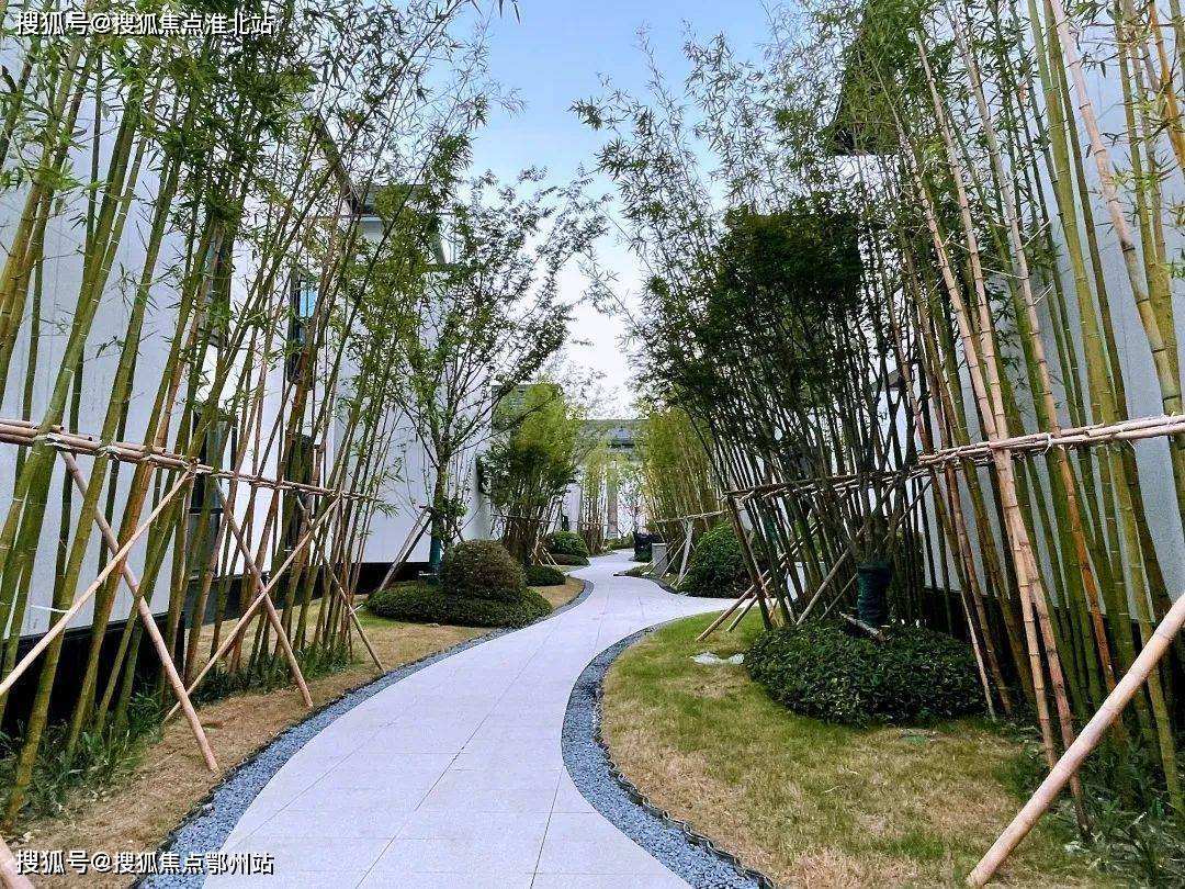 达人分享！免费打网络电话“夏花依旧”