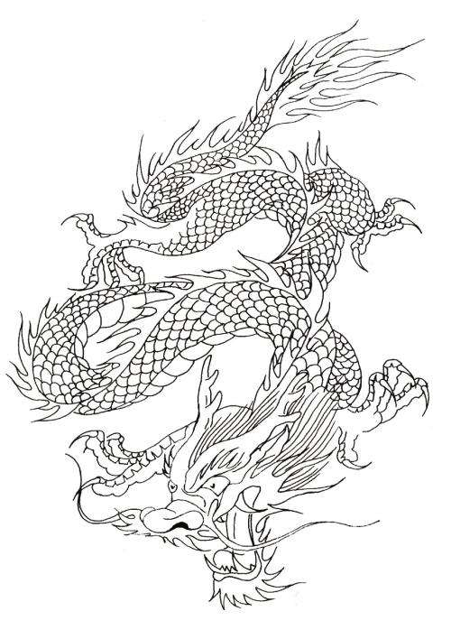 讲解！简笔画龙“纯一不杂”