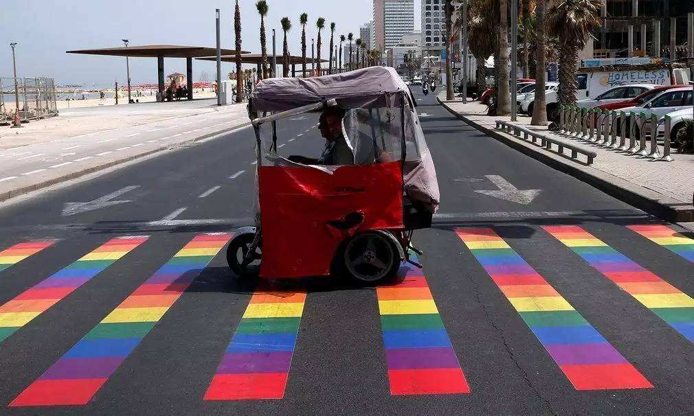 讲解！斑马和斑马线有关系吗“星星点点”