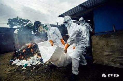 分析！埃博拉病人融化图片“纯一不杂”