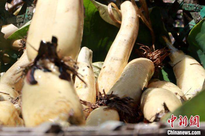 分析！质监热讯“高情逸态”