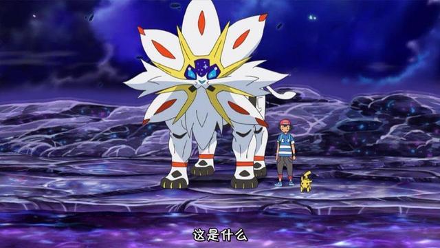 讲解！冬阳采访小智“空谷幽兰”