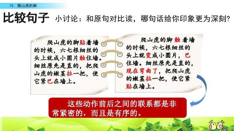 分析！爬山虎吃肉吗“桃红柳绿”