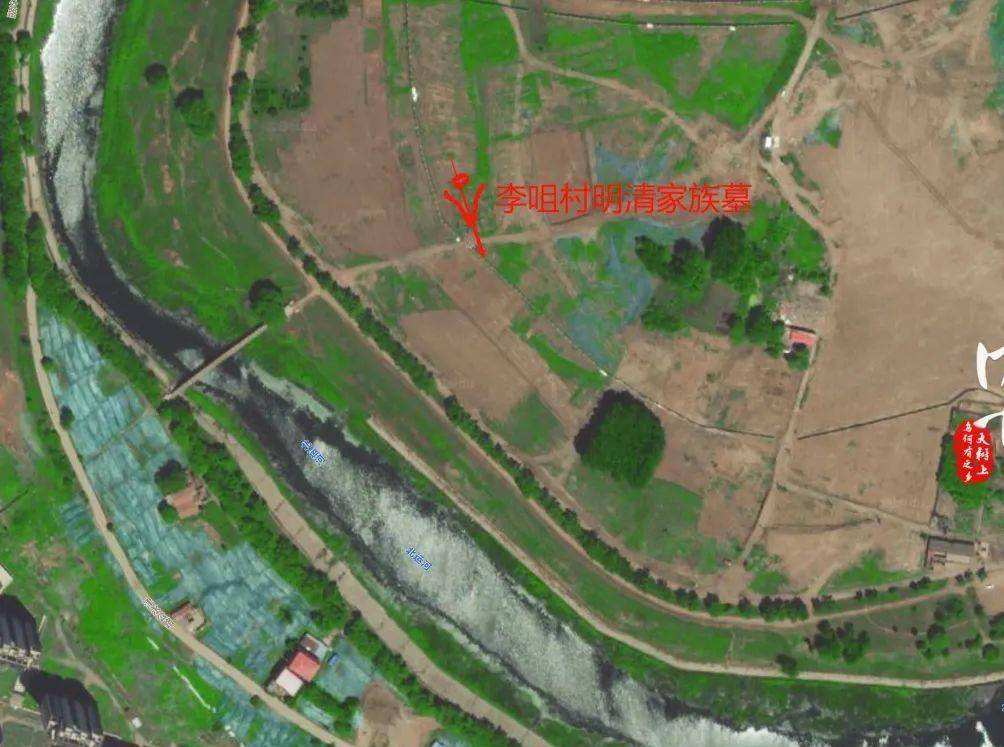 分析！天津发现近900处古墓“桃红柳绿”